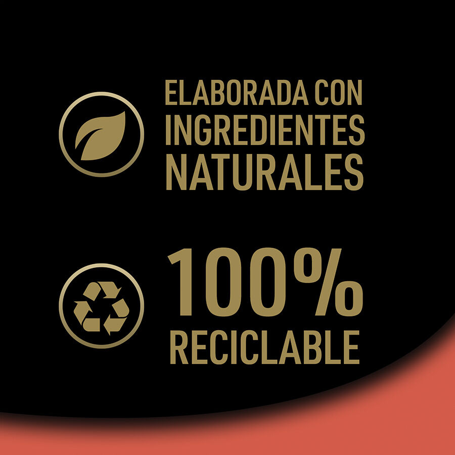 28 tarrinas x 150 g (20 + 8 tarrinas &iexcl;gratis!) Cesar Buey Tarrina en Pat&eacute; para Perros, , large Imagen numero 6